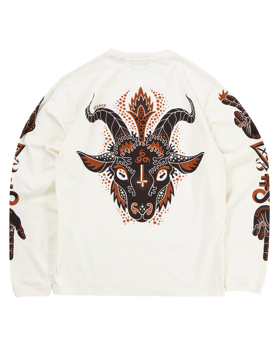 Indigofera Iconic LTS, Cocatoo White, Baphomet