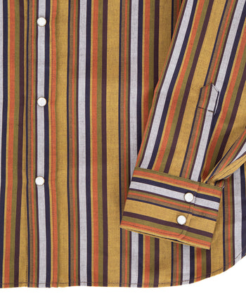 Indigofera Sideras Shirt, Cotton Stripe, Multicolor
