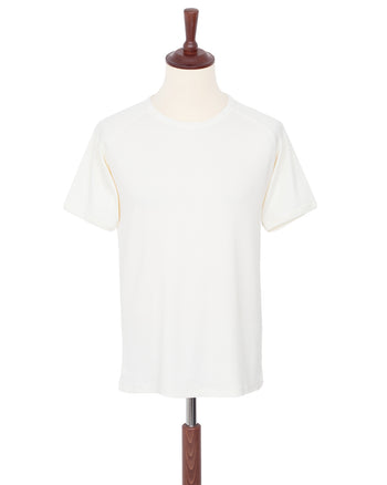 Indigofera Harvey T-Shirt, Cocatoo White